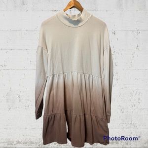 Wild Fable Ombré Sweater Dress